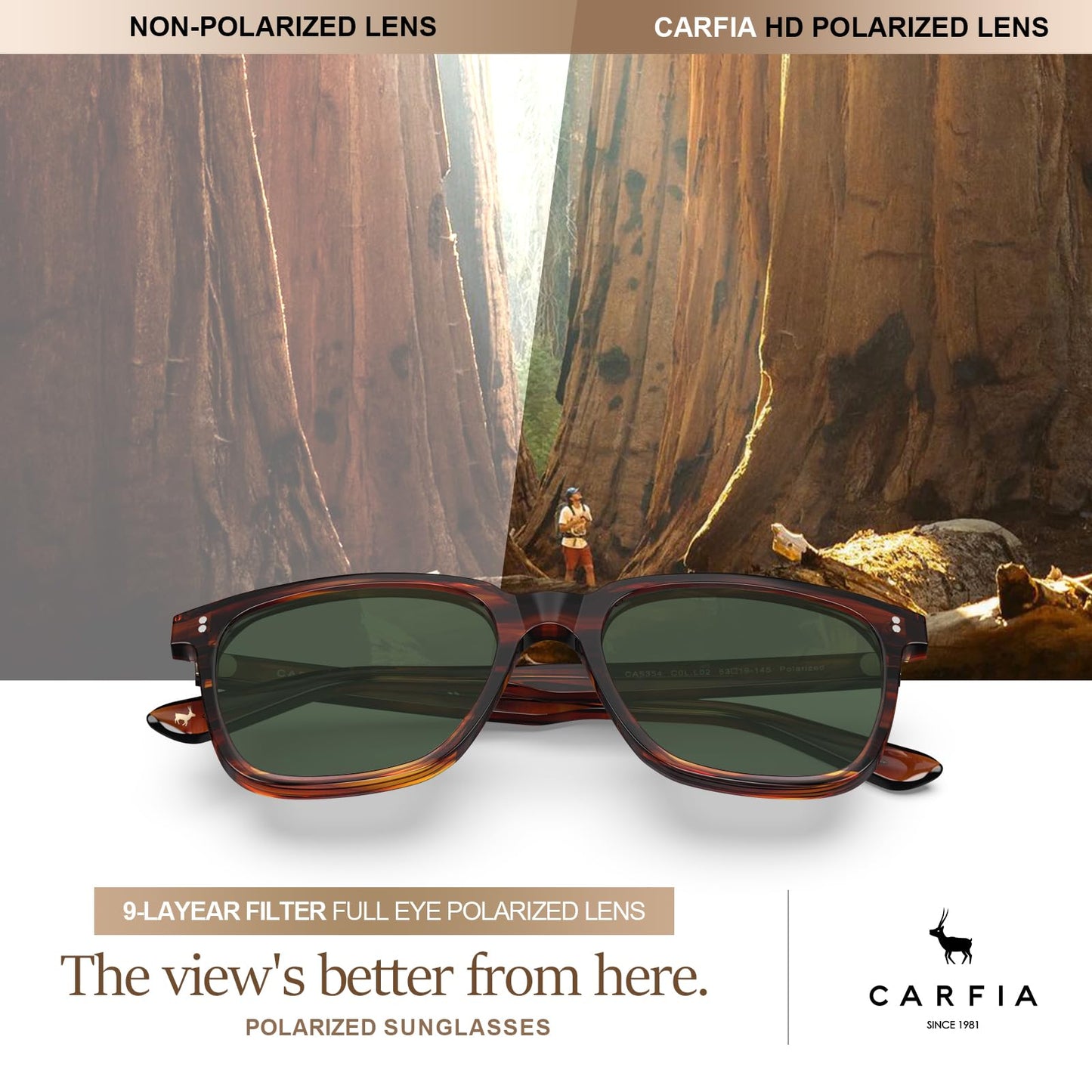 Men's Polarized Square Sunglasses with Acetate Frame